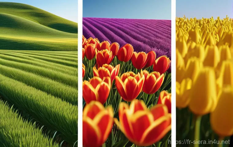 시에라리온 유명 인물 - Here are three detailed image generation prompts in English, based on the provided content: