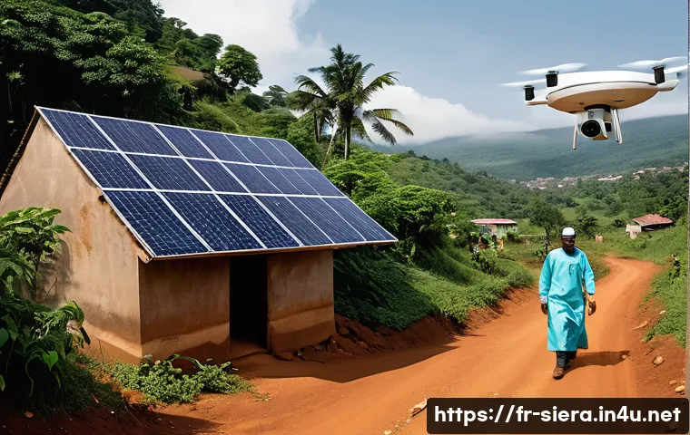 시에라리온 전염병과 보건 문제 관련 이미지 1