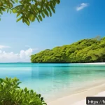 시에라리온 번드 비치 - A pristine tropical coastal landscape featuring lush greenery with mangroves and dense tropical fore...