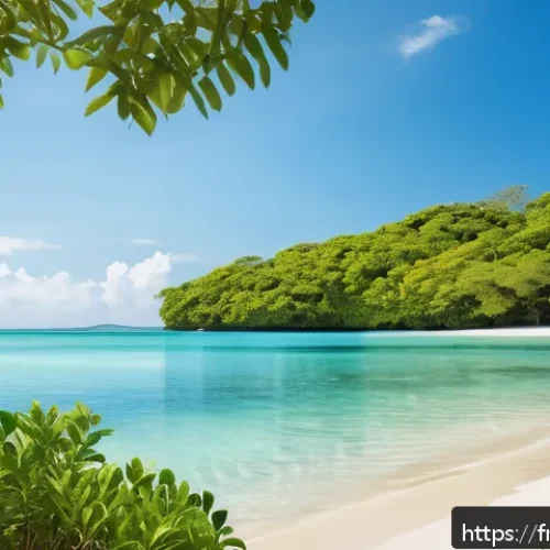 시에라리온 번드 비치 - A pristine tropical coastal landscape featuring lush greenery with mangroves and dense tropical fore...