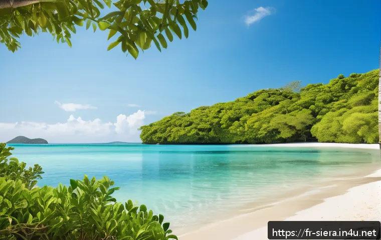 시에라리온 번드 비치 - A pristine tropical coastal landscape featuring lush greenery with mangroves and dense tropical fore...